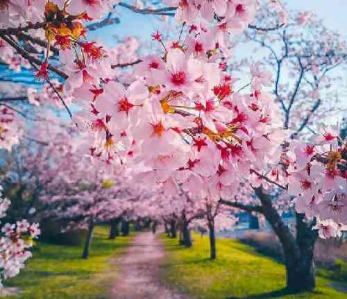 دلمون به چی خوش بود به قصه های بابایی